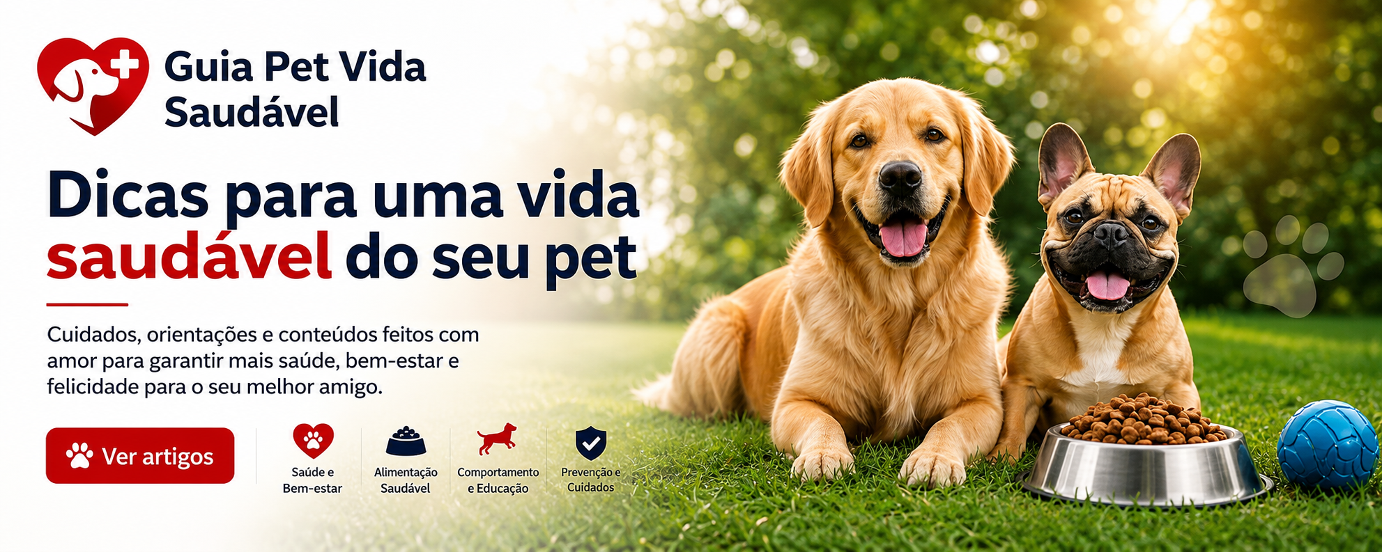 chatgpt banner corrigido