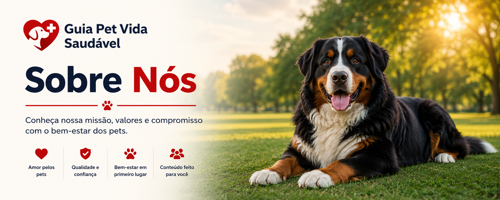 2 banner página sobre nÓs (correta)