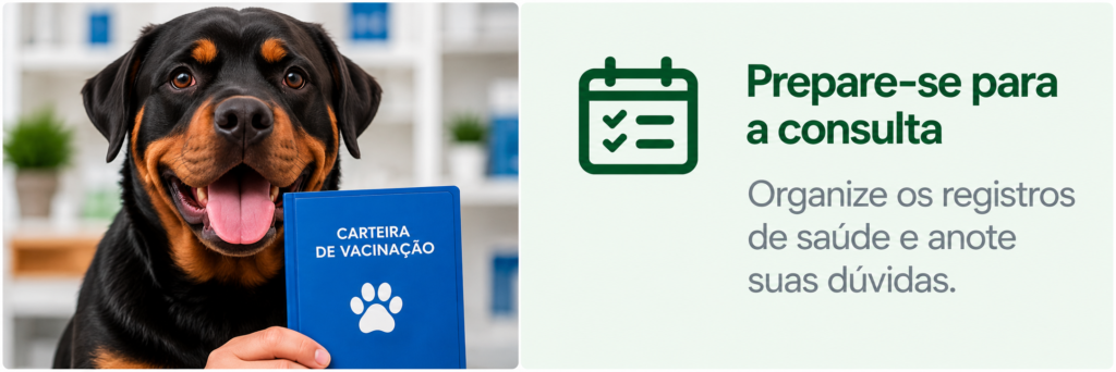 12 imagem 5 artigo 3 check up