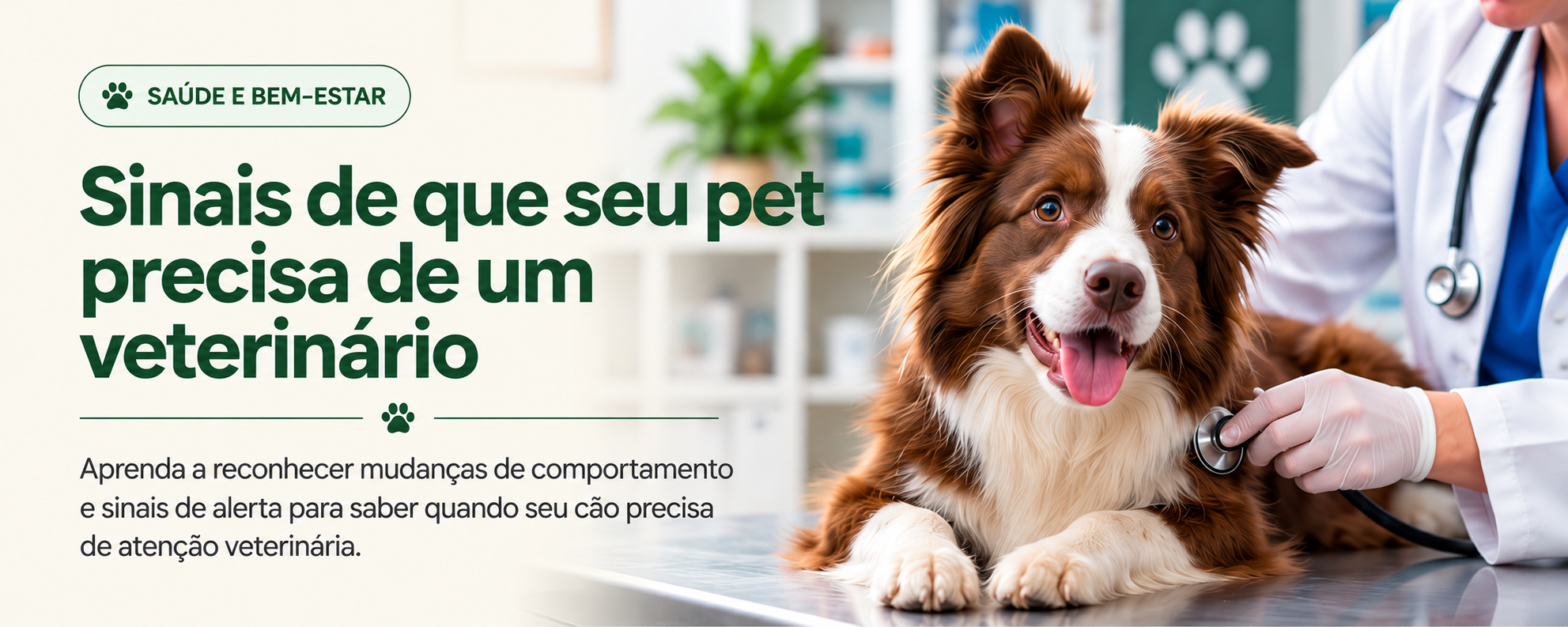 2 banner artigo 2 sinais de saúde do seu pet
