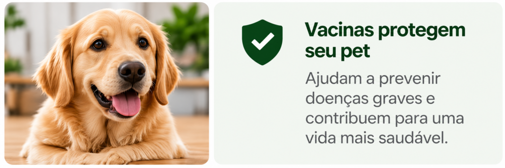 4 imagem 1 artigo 1 vacinação