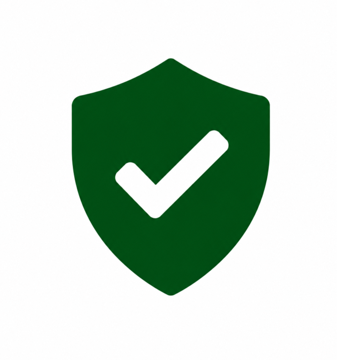 5 Ícone escudo