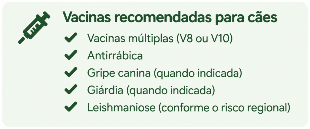 6 imagem 2 artigo 1 vacinação