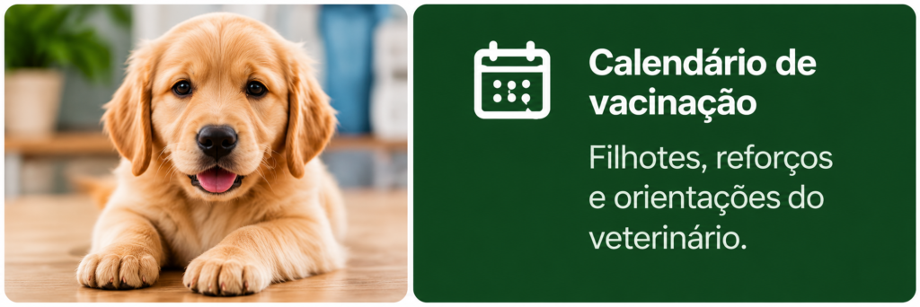 8 imagem 3 artigo 1 vacinação