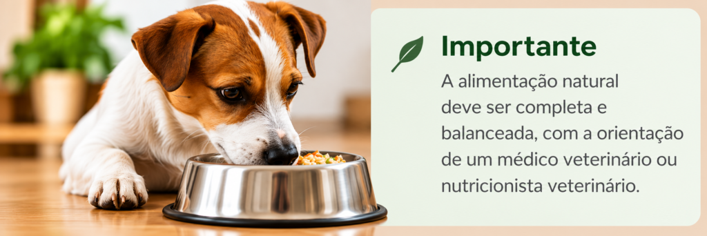 5.2- Alimentação natural: vale a pena? imagem seção 1 artigo 2 correta