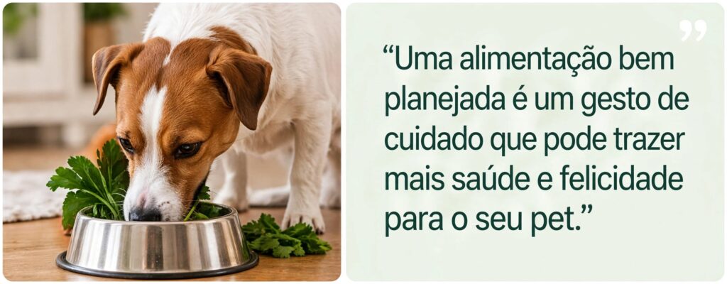 5.2- Alimentação natural: vale a pena? imagem seção 6 artigo 2